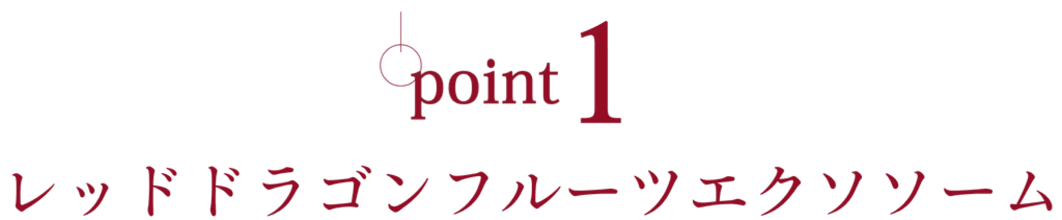 point 1 レッドドラゴンフルーツエクソソーム