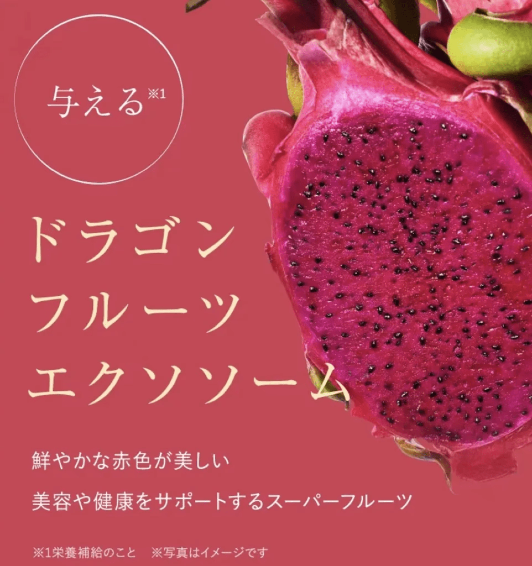 ドラゴンフルーツエクソソーム