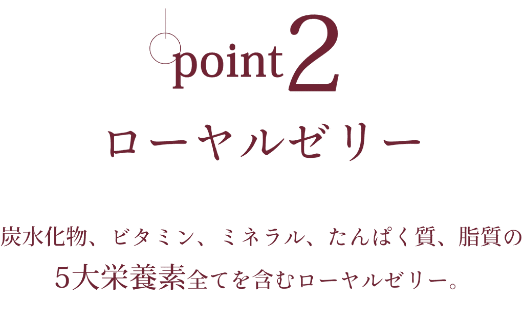 point 2 ローヤルゼリー