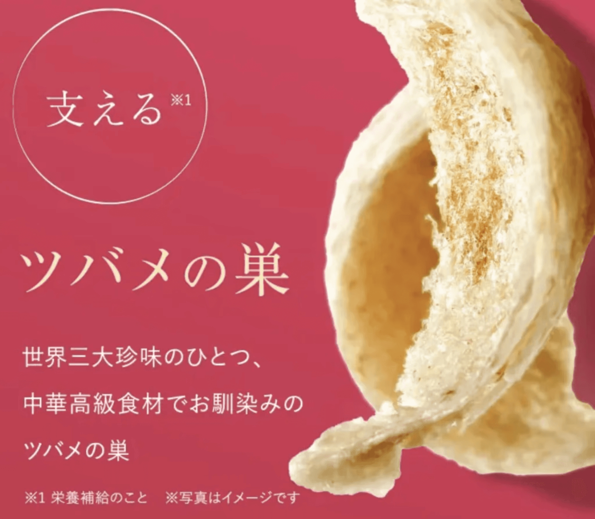 ツバメの巣